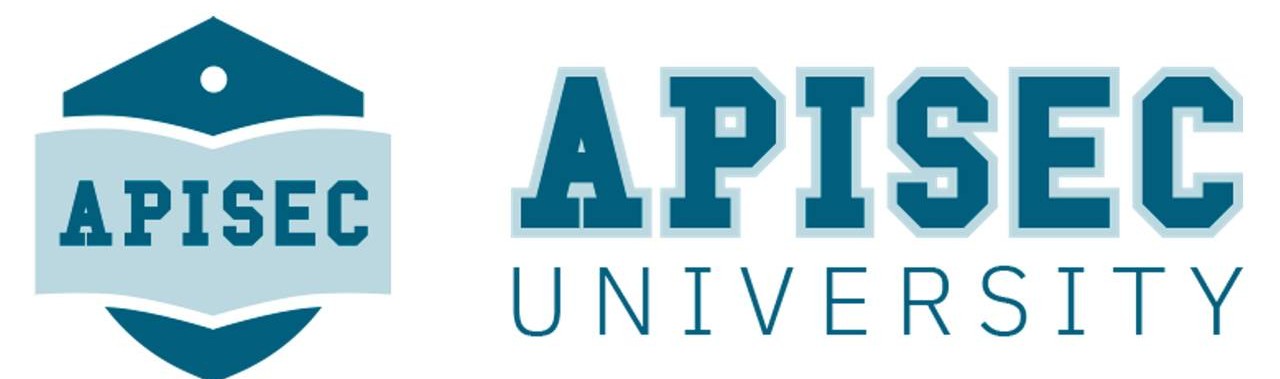 API Penetration Testing